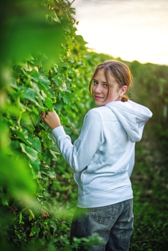 Dětská mikina Miluju Pálavu - Velikost: 110/116