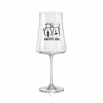 SKLENICE NA VÍNO S NÁPISEM “ANATOMIE VÍNA”