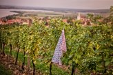 Folklorní utěrka na nádobí - Varianta: Folklorní ptáčci červená