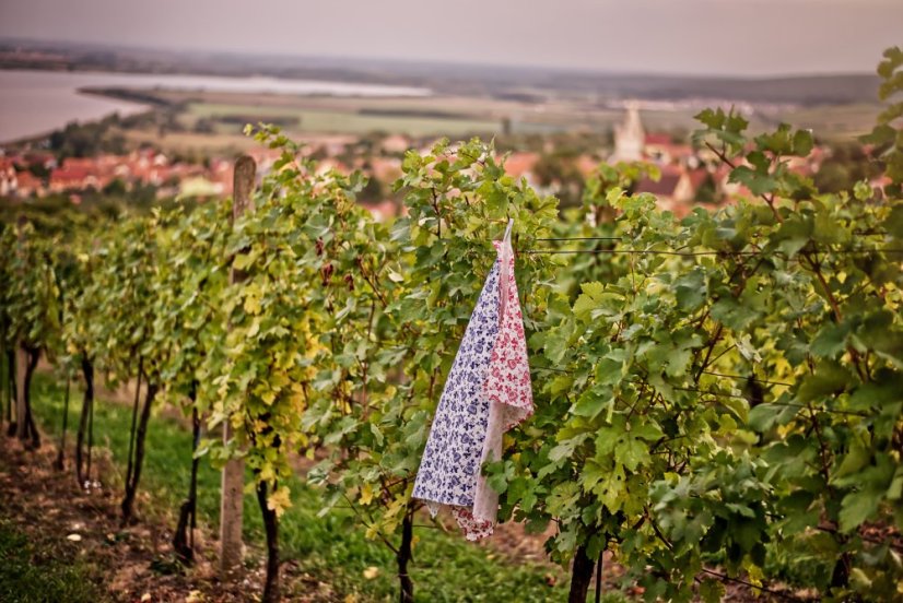 Folklorní utěrka na nádobí - Varianta: Folklorní ptáčci červená