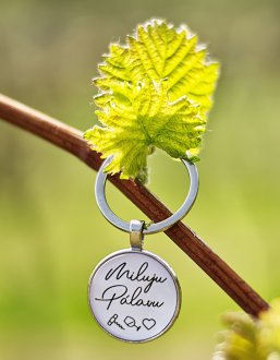 KLÍČENKA MILUJU PÁLAVU