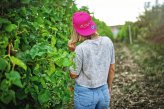 DÁMSKÝ CROP TOP S KRÁTKÝM RUKÁVEM S IKONAMI ŠEDÁ - Velikost: XS