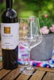 SKLENICE NA VÍNO S NÁPISEM “NEPIJU, DEGUSTUJU”