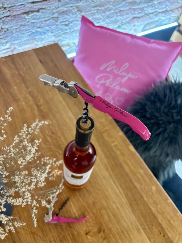 POLŠTÁŘ MILUJU PÁLAVU - Barva: Bílá