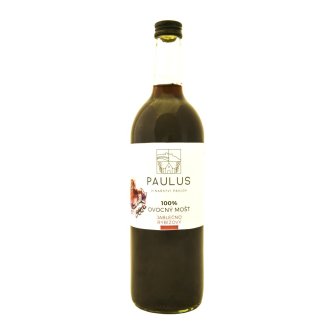 Jablečno- rybízový mošt 0,75l